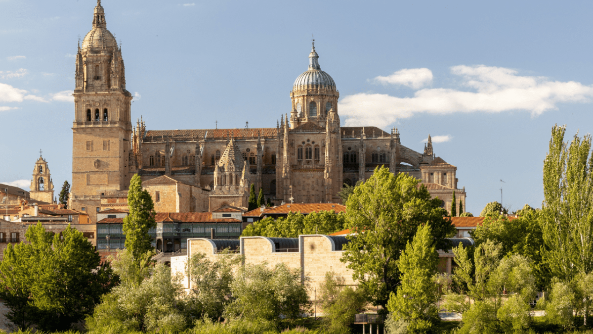 Vistas de la casa Lis y la Catedral de Salamanca